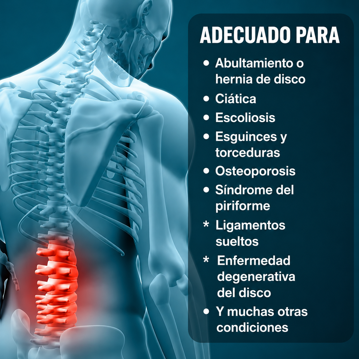 Faja Sacrolumbar De Soporte